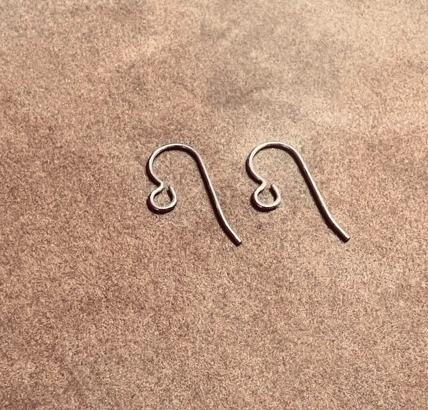 Titanium Ear Hooks