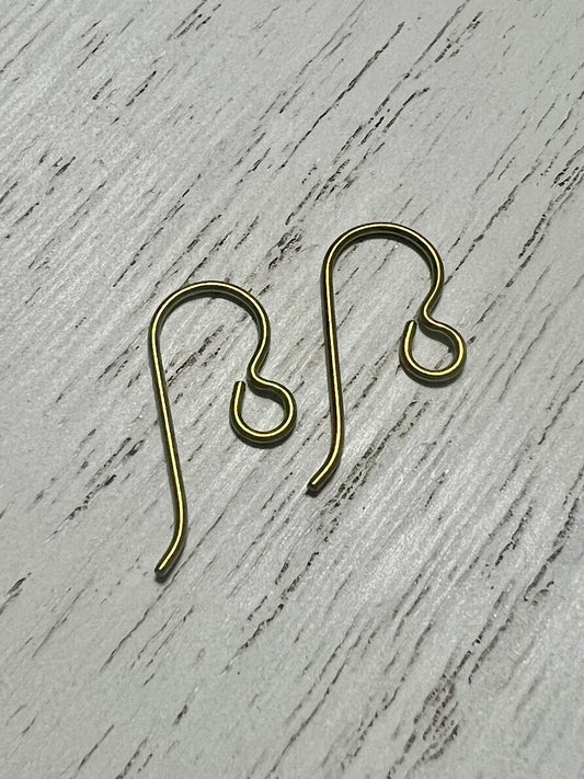 Niobium Ear Hooks